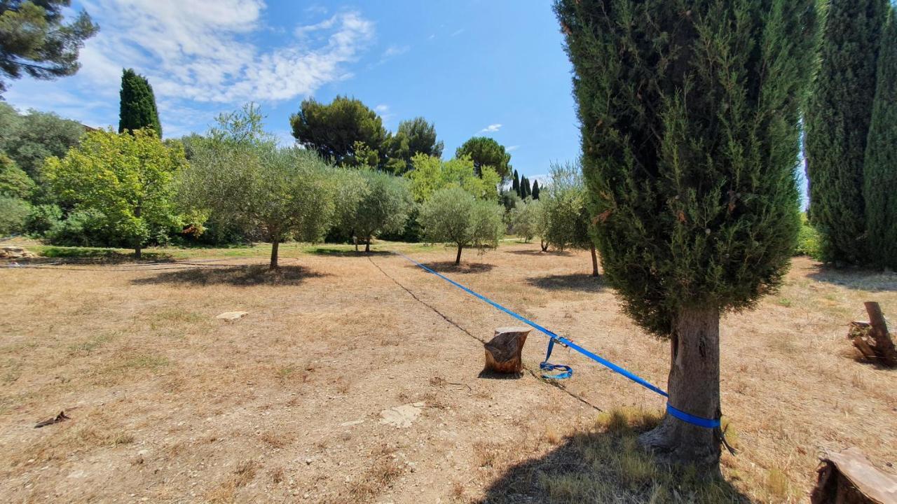 Terres Du Baguier Villa Ceyreste Exteriör bild